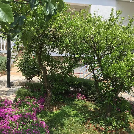 Apartamento Vinko