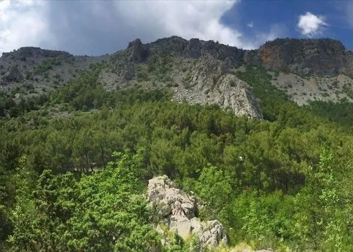 Vinko