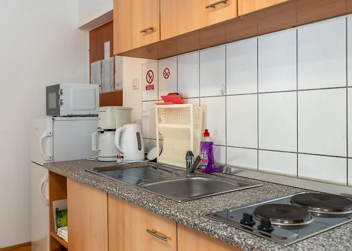 Apartment Vinko