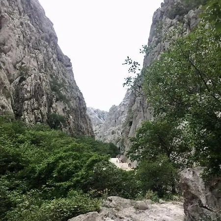 Vinko *
